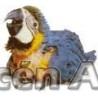 Guacamayo azulamarillo  papillero (ara ararauna)